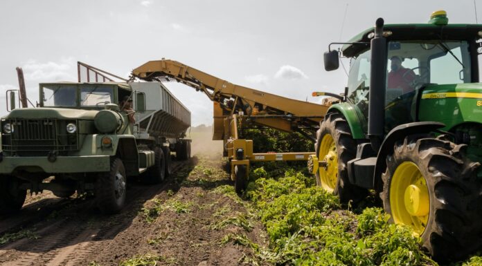 PIERLUISI OREDENA PROCEDIMIENTO EXPEDITO PARA EXENCIONES CONTRIBUTIVAS A INDUSTRIA AGRÍCOLA