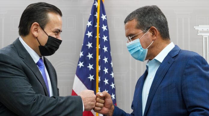 DECLARAN EMERGENCIA ECOLÓGICA POR PÉRDIDA DE CORALES