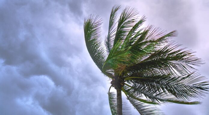 NMEAD EXHORTA A PREPARARSE ANTE LA CERCANÍA DEL PICO DE LA TEMPORADA DE HURACANES
