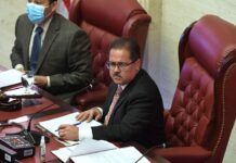 Senado avala medidas para flexibilizar requerimientos de adopción en el País