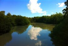 Jenniffer González celebra asignación federal para el comienzo de la construcción del Caño Martín Peña