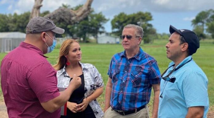 En peligro los programas de investigación de la estación experimental de la UPR por falta de fondos