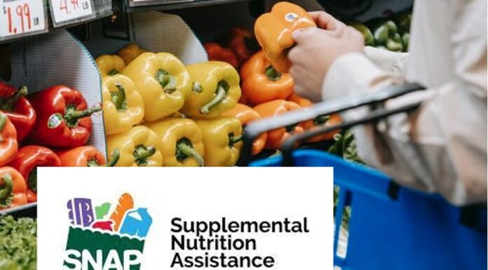 Pierluisi crea grupo multisectorial para impulsar transición del PAN al SNAP a nivel federal