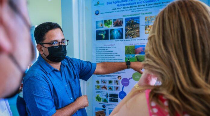 IMPULSAN FINANCIAMIENTO FEDERAL PARA INICIATIVA DE SEGURIDAD ALIMENTARIA