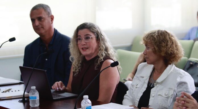 BUSCAN REGULAR LAS FUNCIONES DE AGENTES DE VIAJE