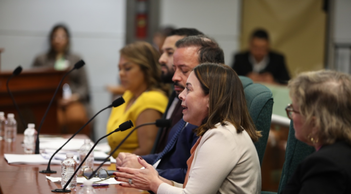 SIGUE LA CÁMARA EVALUANDO LEGISLACIÓN SOBRE EL ABORTO