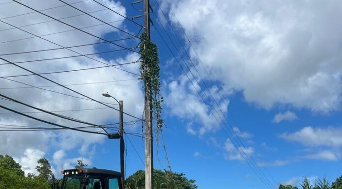 Alcalde de Carolina junto a DTOP anuncian mejoras al puente “Cuestas Los Flacos”
