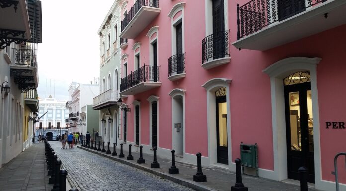 INSTAN A LOS CIUDADANOS A REALIZAR SUS COMPRAS PARA LA TEMPORADA NAVIDEÑA EN LOS COMERCIOS DE LA CALLE FORTALEZA