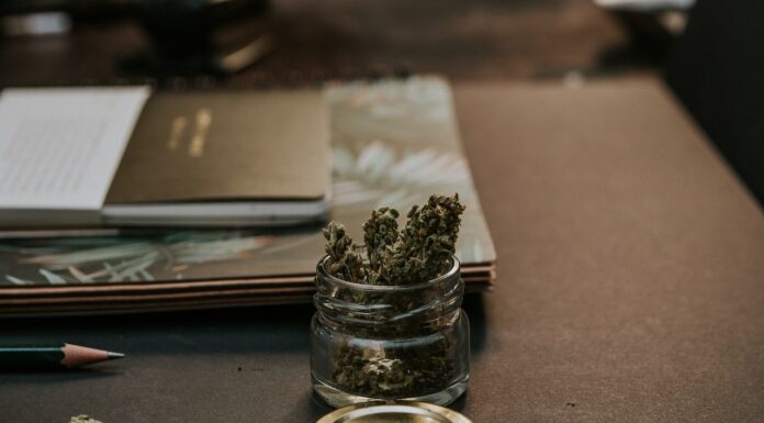 DERROTAN PROYECTO PARA DESPENALIZAR LA POSESIÓN SIMPLE DE MARIHUANA