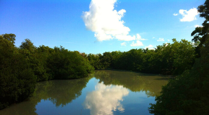 ANUNCIAN PROYECTO EN CAÑO MARTÍN PEÑA