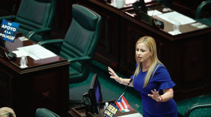 RADICAN MEDIDA PARA QUE LA CÁMARA TAMBIÉN PARTICIPE DEL NOMBRAMIENTO DE LA PROCURADORA DE LAS MUJERES