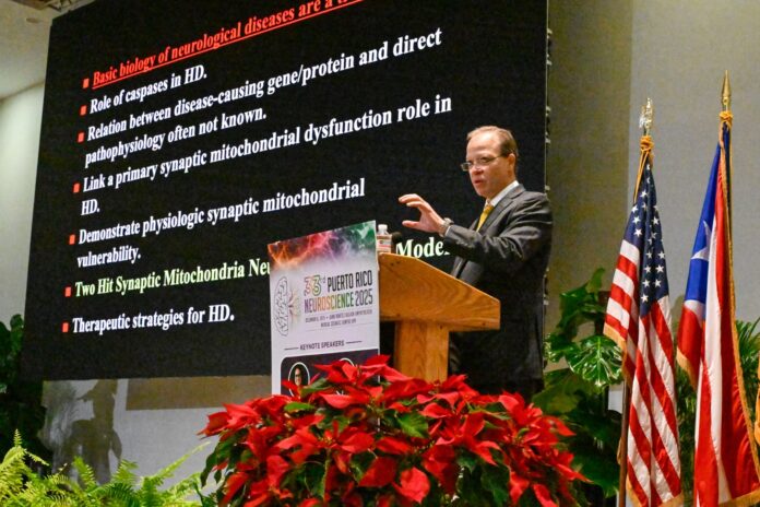 RCM - ConfNeurociencias6