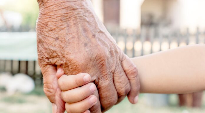 RESTAURAN DERECHOS DE ABUELOS Y TÍOS