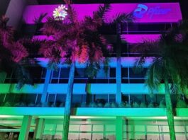 REALIZAN ENCENDIDO EN PUERTO RICO POR EL DÍA DE LAS ENFERMEDADES RARAS