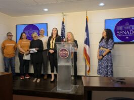 RADICAN PROYECTO SOBRE COUBICACIÓN DE CENIZAS HUMANAS Y MASCOTAS