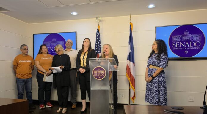 RADICAN PROYECTO SOBRE COUBICACIÓN DE CENIZAS HUMANAS Y MASCOTAS