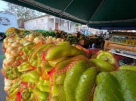 PEÑUELAS CELEBRA MERCADO AGRÍCOLA FAMILIAR CON PARTICIPACIÓN DE 800 FAMILIAS