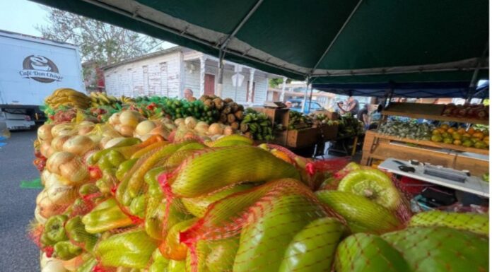 PEÑUELAS CELEBRA MERCADO AGRÍCOLA FAMILIAR CON PARTICIPACIÓN DE 800 FAMILIAS