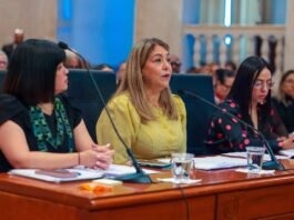 FAMILIA INFORMA AL SENADO SOBRE CIERRES Y QUERELLAS EN CENTROS DE CUIDO